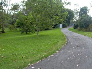 Asphalt Driveways